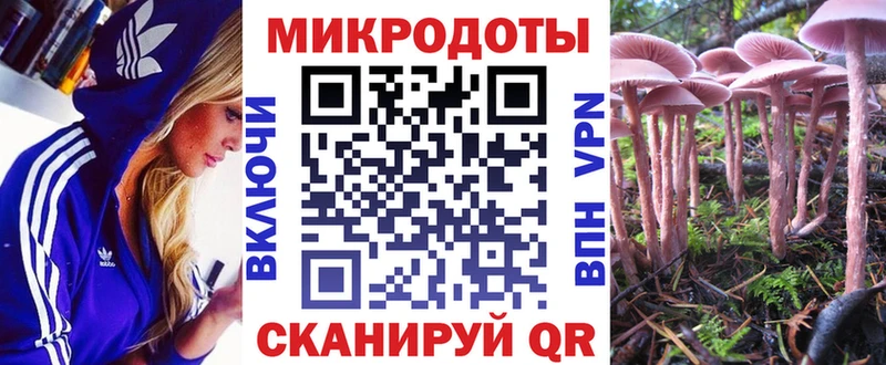 mega зеркало  где можно купить наркотик  Надым  Галлюциногенные грибы мицелий 
