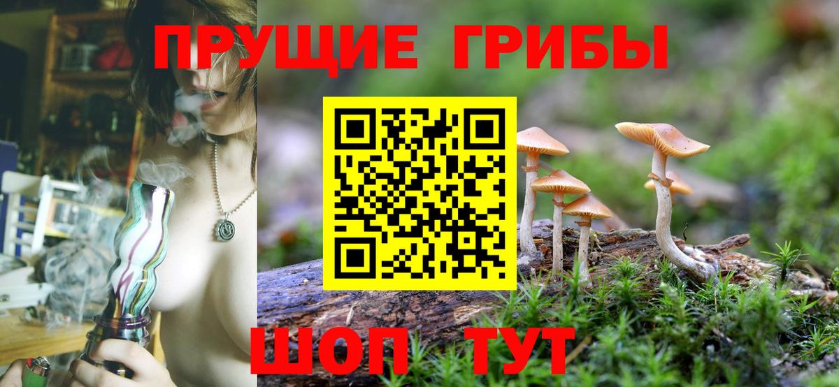 Надым  Галлюциногенные грибы мухоморы  Вход с VPN 